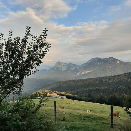 Вилла Stoecklhof Зигсдорф Экстерьер фото